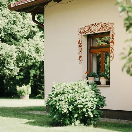 Csardas Salas Daire *