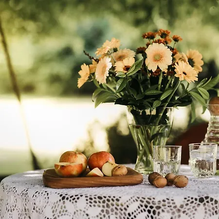 Daire Csardas Salas *