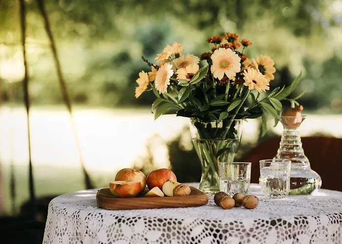 Διαμέρισμα Csardas Salas *